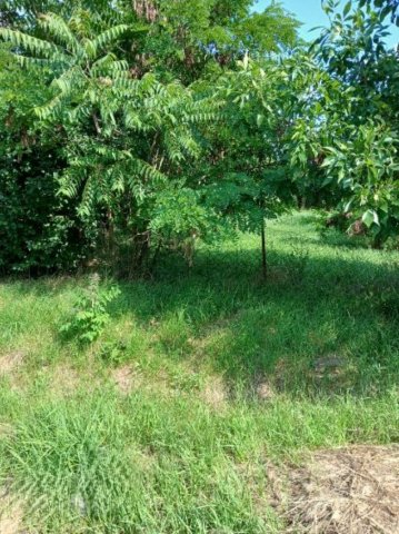 Eladó telek, Gyomaendrődön 1.99 M Ft / költözzbe.hu