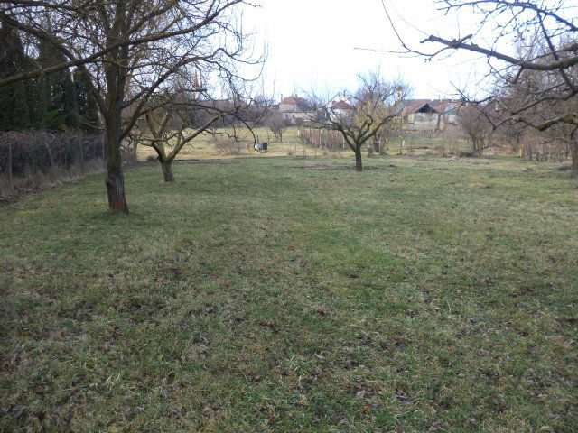 Eladó telek, Öskün 17.5 M Ft / költözzbe.hu