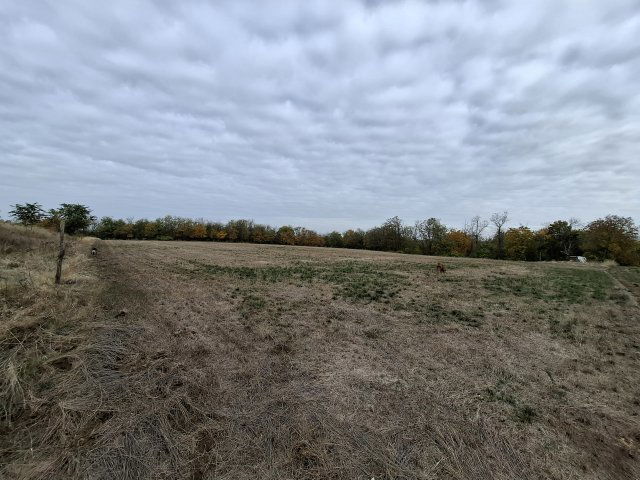 Eladó telek, Gombán, Bercsényi Miklós utcában 88 M Ft