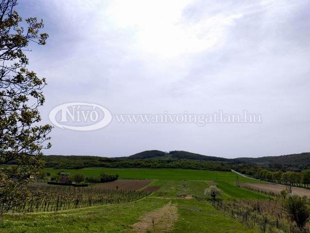 Eladó nyaraló, Pécselyen 36 M Ft, 3 szobás