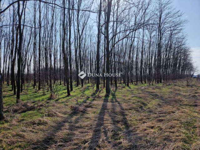 Eladó mezogazdasagi ingatlan, Vasadon 11 M Ft