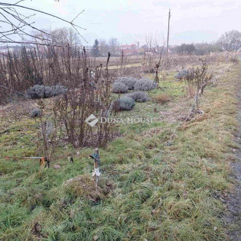 Eladó telek, Körmenden 0.99 M Ft / költözzbe.hu