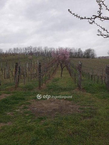 Eladó telek, Romándon 11.9 M Ft / költözzbe.hu