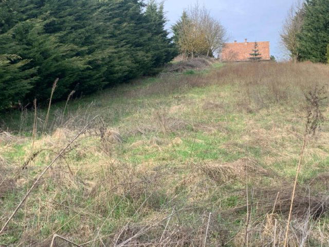 Eladó telek, Pilisszentivánon 59 M Ft / költözzbe.hu