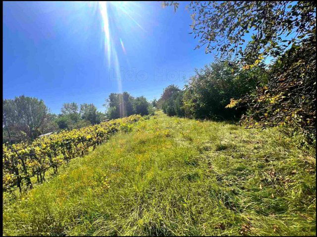 Eladó mezogazdasagi ingatlan, Győrött 8.5 M Ft