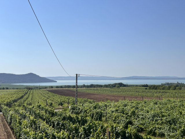 Eladó nyaraló, Aszófőn 59.9 M Ft, 1 szobás
