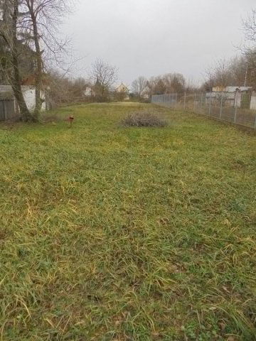 Eladó mezogazdasagi ingatlan, Debrecenben 20 M Ft