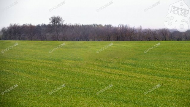 Eladó ipari ingatlan, Nagykőrösön 362.8 M Ft