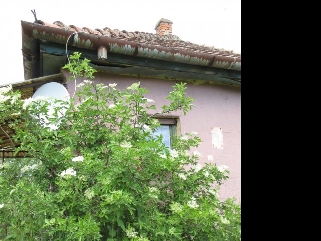 Eladó családi ház, Nagylókon 12.48 M Ft, 1+1 szobás