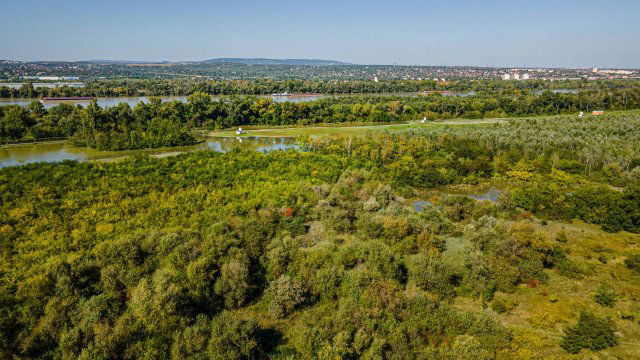 Eladó családi ház, Halásztelken 179 M Ft, 7 szobás