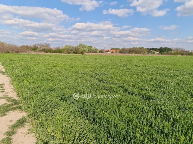 Eladó telek, Szigetszentmiklóson 16.9 M Ft / költözzbe.hu