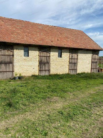 Eladó mezogazdasagi ingatlan, Lajosmizsén 205 M Ft, 22+4 szobás