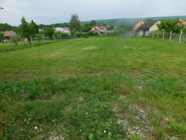 Eladó telek, Szőlősgyörökön 5.8 M Ft / költözzbe.hu