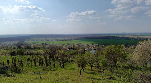 Eladó nyaraló, Somlószőlősön 7.9 M Ft, 1 szobás