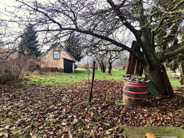 Eladó mezogazdasagi ingatlan, Szentgyörgyváron 15.6 M Ft