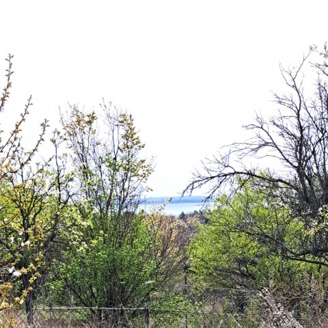 Eladó telek, Balatonkenesén 32 M Ft / költözzbe.hu