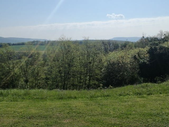 Eladó mezogazdasagi ingatlan, Sényén 45 M Ft