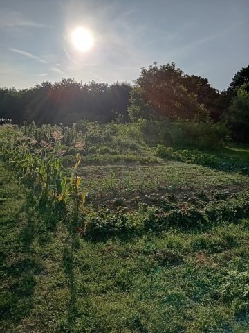 Eladó családi ház, Merenyén 14.5 M Ft, 2 szobás
