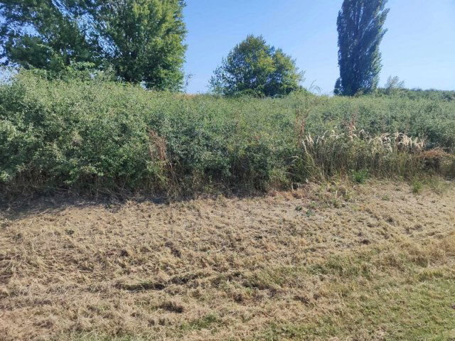 Eladó telek, Kerecsenden 3.9 M Ft / költözzbe.hu
