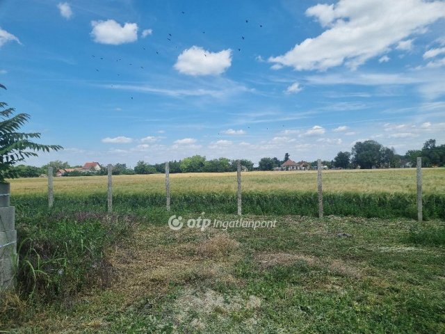Eladó telek, Szalkszentmártonon 19.5 M Ft / költözzbe.hu