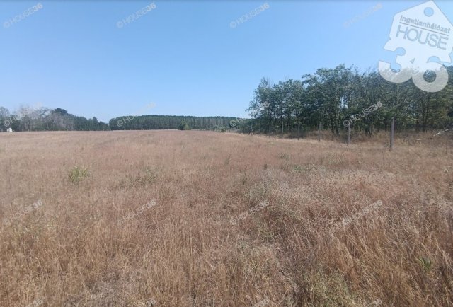 Eladó telek, Tiszaalpáron 5.9 M Ft / költözzbe.hu