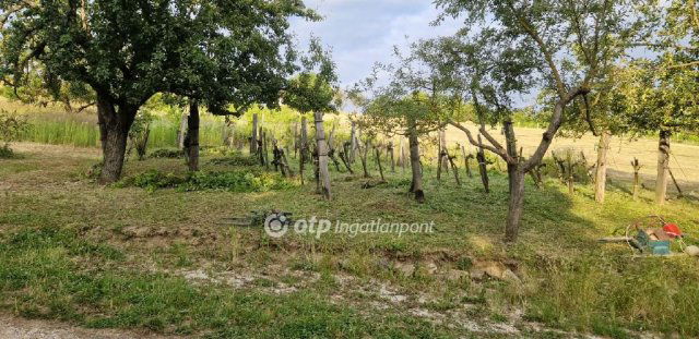 Eladó mezogazdasagi ingatlan, Zalaszabaron 3.6 M Ft