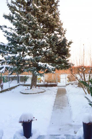 Eladó családi ház, Szigetcsépen 109.9 M Ft, 3 szobás