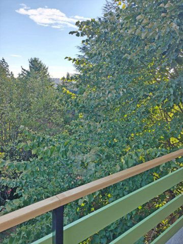 Kiadó téglalakás, albérlet, XI. kerületben, Sasadi közben