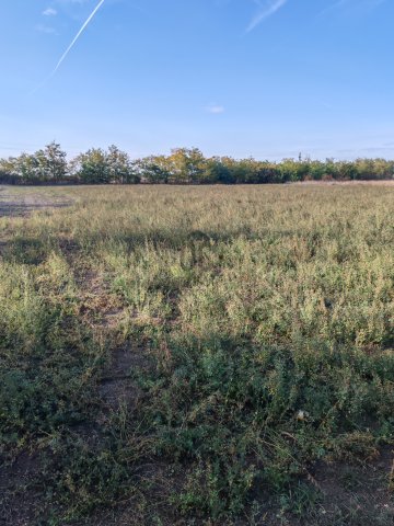 Eladó telek, Kengyelen 2.4 M Ft / költözzbe.hu