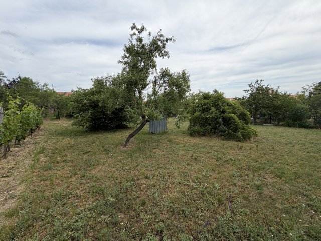 Eladó telek, Balatonalmádiban, Vöröshegyi úton 99.9 M Ft