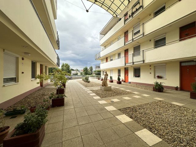 Kiadó téglalakás, albérlet, Székesfehérvárott 250 E Ft / hó