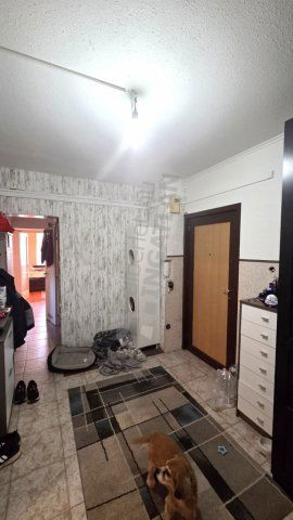 Eladó panellakás, Budapesten, XVII. kerületben, Kis utcában