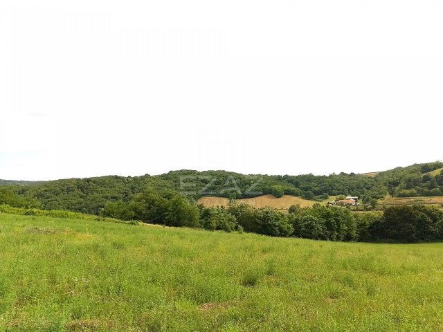 Eladó családi ház, Palkonyán 19.99 M Ft / költözzbe.hu