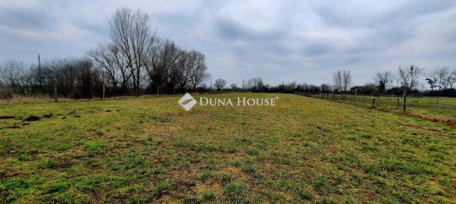 Eladó családi ház, Pápán 180 M Ft, 7 szobás