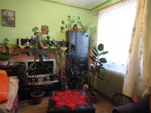 Eladó családi ház, Egerszalókon 57 M Ft, 6 szobás