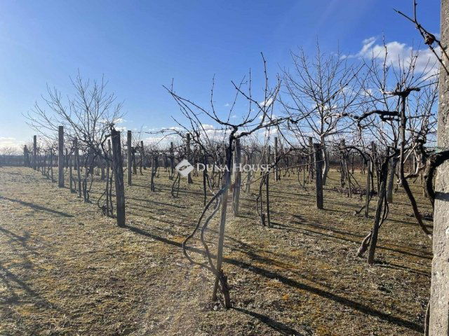 Eladó mezogazdasagi ingatlan, Hásságyon 4.5 M Ft