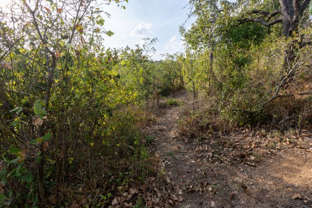 Eladó telek, Sukorón 29 M Ft / költözzbe.hu