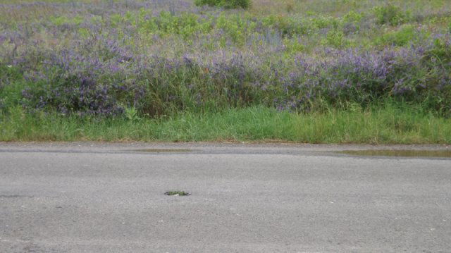 Eladó telek, Dabason 28.9 M Ft / költözzbe.hu