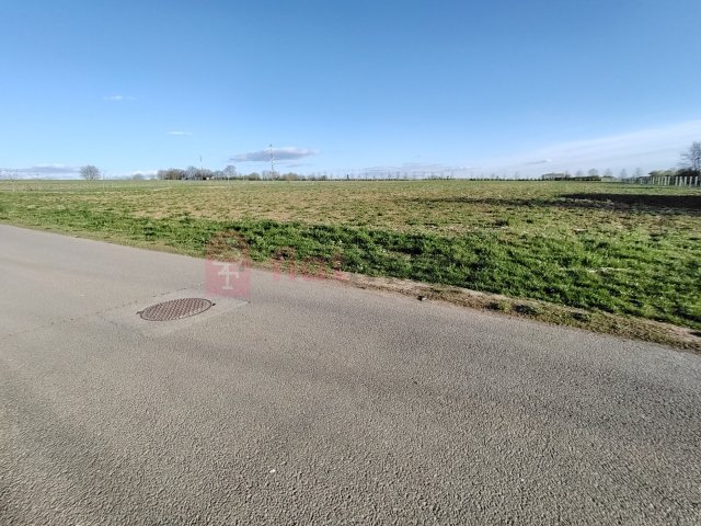 Eladó telek, Pécsett, Benke dűlőn 25 M Ft / költözzbe.hu