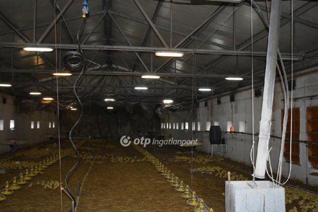 Eladó mezogazdasagi ingatlan, Mezőhegyesen 300 M Ft