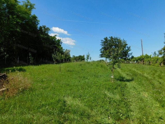 Eladó mezogazdasagi ingatlan, Balatonszárszón 14.9 M Ft