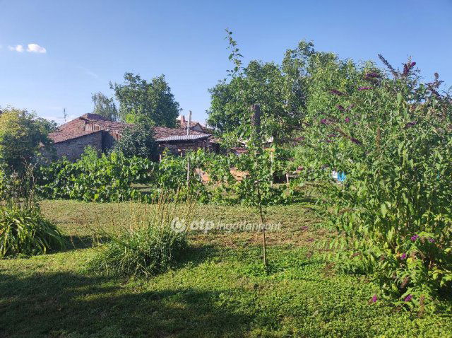 Eladó telek, Szegeden 33 M Ft / költözzbe.hu