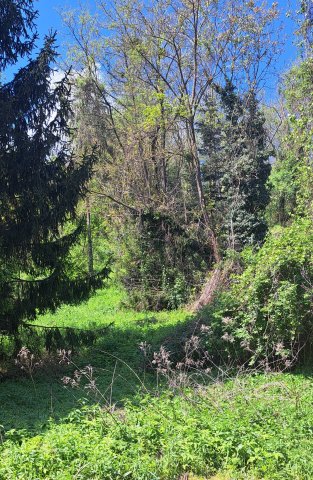 Eladó telek, Zalakaroson 2.5 M Ft / költözzbe.hu