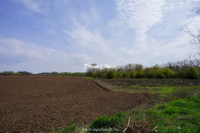 Eladó telek, Nyíregyházán 20.9 M Ft / költözzbe.hu