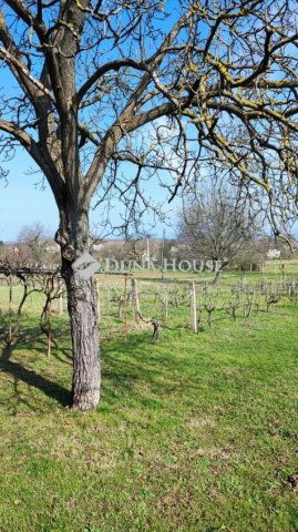 Eladó telek, Hatvanban 6.5 M Ft / költözzbe.hu