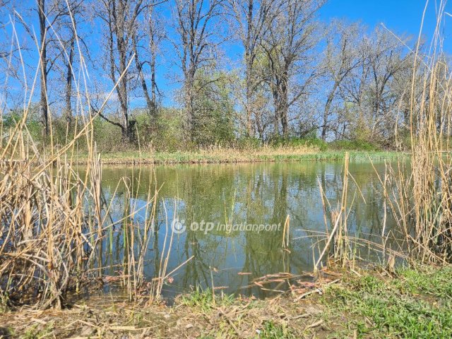 Eladó nyaraló, Dömsödön 21.9 M Ft, 1+1 szobás