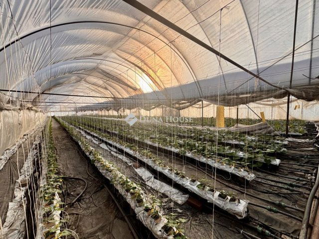 Eladó családi ház, Csányon, Nagy úton 113 M Ft, 5 szobás