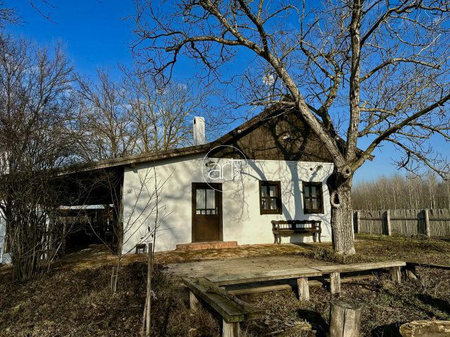 Eladó családi ház, Zákányszéken 94.9 M Ft, 2 szobás