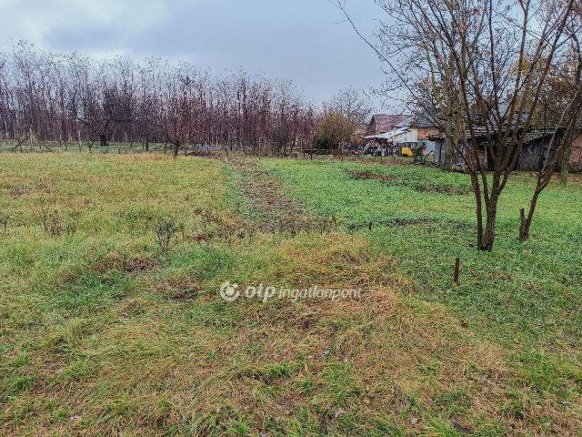 Eladó telek, Apagyon 6.5 M Ft / költözzbe.hu