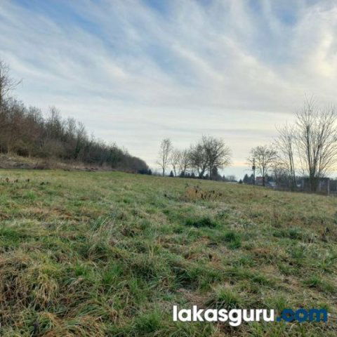 Eladó telek, Felsőrajkon 5 M Ft / költözzbe.hu